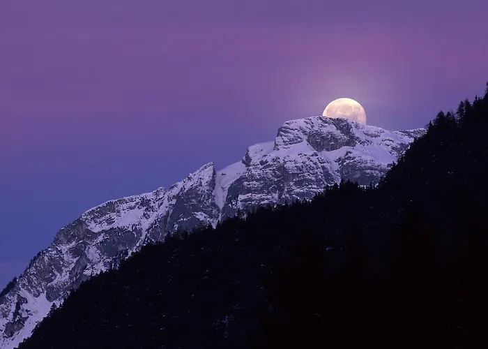 Hétvégi ház Gaestehaus Larch *